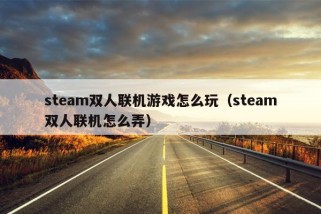 steam双人联机游戏怎么玩（steam双人联机怎么弄）