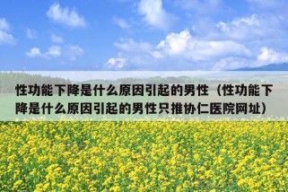 性功能下降是什么原因引起的男性（性功能下降是什么原因引起的男性只推协仁医院网址）