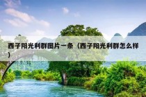 西子阳光利群图片一条（西子阳光利群怎么样）