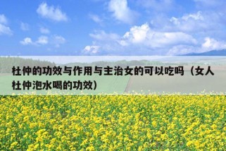 杜仲的功效与作用与主治女的可以吃吗（女人杜仲泡水喝的功效）