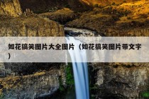 如花搞笑图片大全图片（如花搞笑图片带文字）