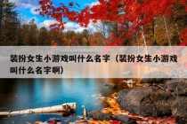 装扮女生小游戏叫什么名字（装扮女生小游戏叫什么名字啊）