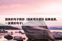 搞笑的句子摘抄（搞笑句子摘抄 经典语录,一盘菜的句子）