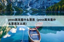 poss英文是什么意思（poss英文是什么意思怎么读）