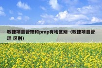 敏捷项目管理和pmp有啥区别（敏捷项目管理 区别）