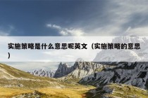 实施策略是什么意思呢英文（实施策略的意思）