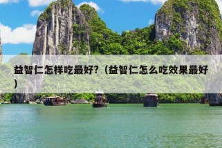 益智仁怎样吃最好?（益智仁怎么吃效果最好）