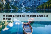 机灵敏捷是什么生肖?（机灵敏捷是指什么动物生肖）