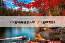 etc全称英语怎么写（etc全称发音）