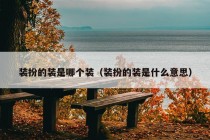 装扮的装是哪个装（装扮的装是什么意思）