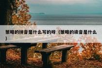 策略的拼音是什么写的呀（策略的读音是什么）