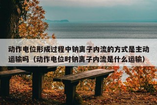 动作电位形成过程中钠离子内流的方式是主动运输吗（动作电位时钠离子内流是什么运输）