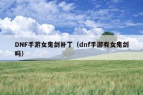 DNF手游女鬼剑补丁（dnf手游有女鬼剑吗）