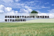 游戏直播去哪个平台2020年（游戏直播去哪个平台2020年的）