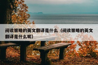 阅读策略的英文翻译是什么（阅读策略的英文翻译是什么呢）