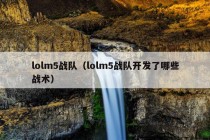 lolm5战队（lolm5战队开发了哪些战术）