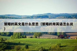 策略的英文是什么意思（策略的用英语怎么说）