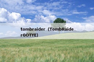 tombraider（TombRaiderGOTYE）