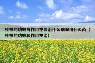 桂枝的功效与作用主要治什么病呢用什么药（桂枝的功效和作用主治）