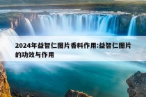 2024年益智仁图片香料作用:益智仁图片的功效与作用