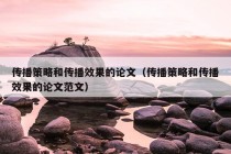 传播策略和传播效果的论文（传播策略和传播效果的论文范文）