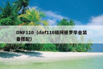 DNF110（dnf110级阿修罗毕业装备搭配）