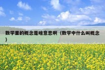 数学里的概念是啥意思啊（数学中什么叫概念）