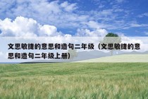 文思敏捷的意思和造句二年级（文思敏捷的意思和造句二年级上册）