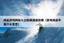 成品游戏网站入口隐藏通道在哪（游戏成品号是什么意思）