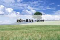 小众ins英文名（Echo）