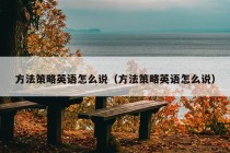 方法策略英语怎么说（方法策略英语怎么说）