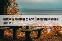 敏捷字组词和拼音怎么写（敏捷的组词和拼音是什么）