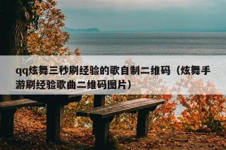 qq炫舞三秒刷经验的歌自制二维码（炫舞手游刷经验歌曲二维码图片）