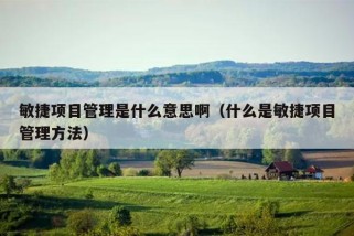 敏捷项目管理是什么意思啊（什么是敏捷项目管理方法）