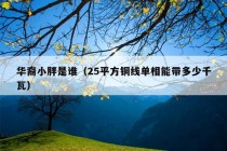 华裔小胖是谁（25平方铜线单相能带多少千瓦）