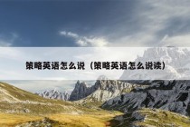 策略英语怎么说（策略英语怎么说读）