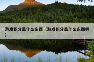 游戏积分是什么东西（游戏积分是什么东西啊）