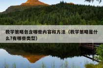 教学策略包含哪些内容和方法（教学策略是什么?有哪些类型）