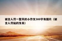 被主人罚一整天的小作文300字有图片（被主人罚站的生肖）