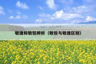 敏捷和敏锐辨析（敏锐与敏捷区别）