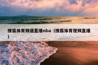 搜狐体育频道直播nba（搜狐体育视频直播）