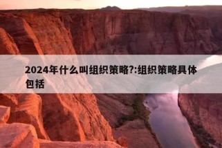 2024年什么叫组织策略?:组织策略具体包括