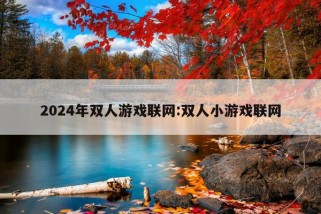 2024年双人游戏联网:双人小游戏联网