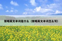 策略英文单词是什么（策略英文单词怎么写）