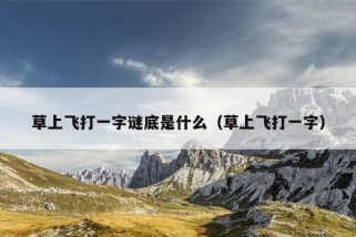 草上飞打一字谜底是什么（草上飞打一字）