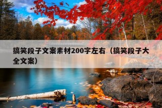 搞笑段子文案素材200字左右（搞笑段子大全文案）