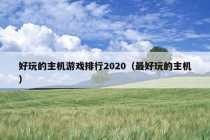 好玩的主机游戏排行2020（最好玩的主机）