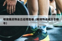 敏捷集团物业总经理是谁（敏捷物业成立于哪年）