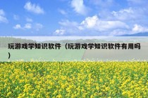 玩游戏学知识软件（玩游戏学知识软件有用吗）