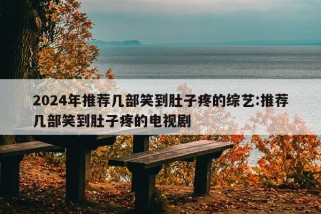 2024年推荐几部笑到肚子疼的综艺:推荐几部笑到肚子疼的电视剧